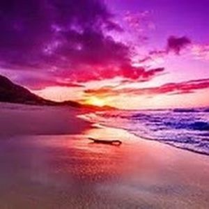 Meet your Posher, Nina